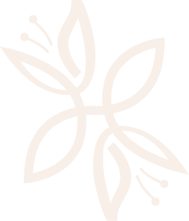 Lilies & Harmony